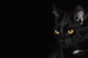 stroomstoring Enschede