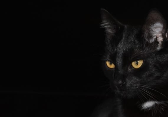 stroomstoring Enschede