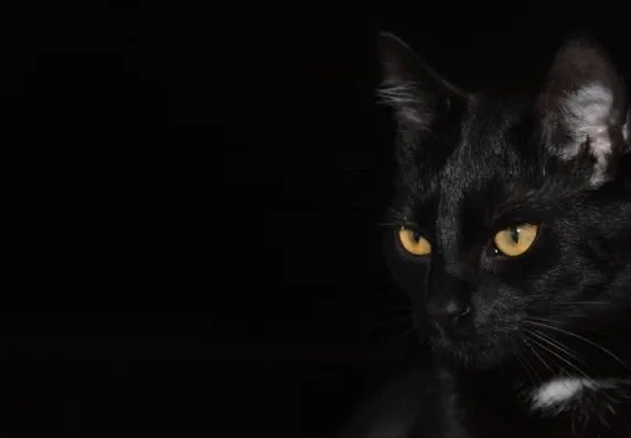 stroomstoring Enschede